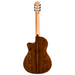 Cordoba Fusion 5 Nylon Acoustic Guitar - Limited Edition Bocote - New