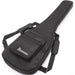 Ibanez SR Premium SR5FMDX2 5-String Bass Guitar - Natural Low Gloss - New