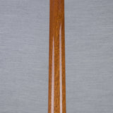 PRS Hollowbody II Piezo 10-Top Hollowbody Electric Guitar - Aurora Borealis