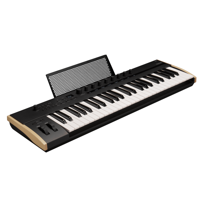 Korg Keystage 49 MIDI Keyboard Controller with Polyphonic Aftertouch