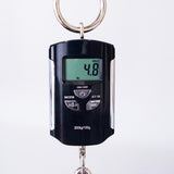 Taylor Gold Label 814e Acoustc Electrc Guitar - Golden Brown Sunburst - #1203245027