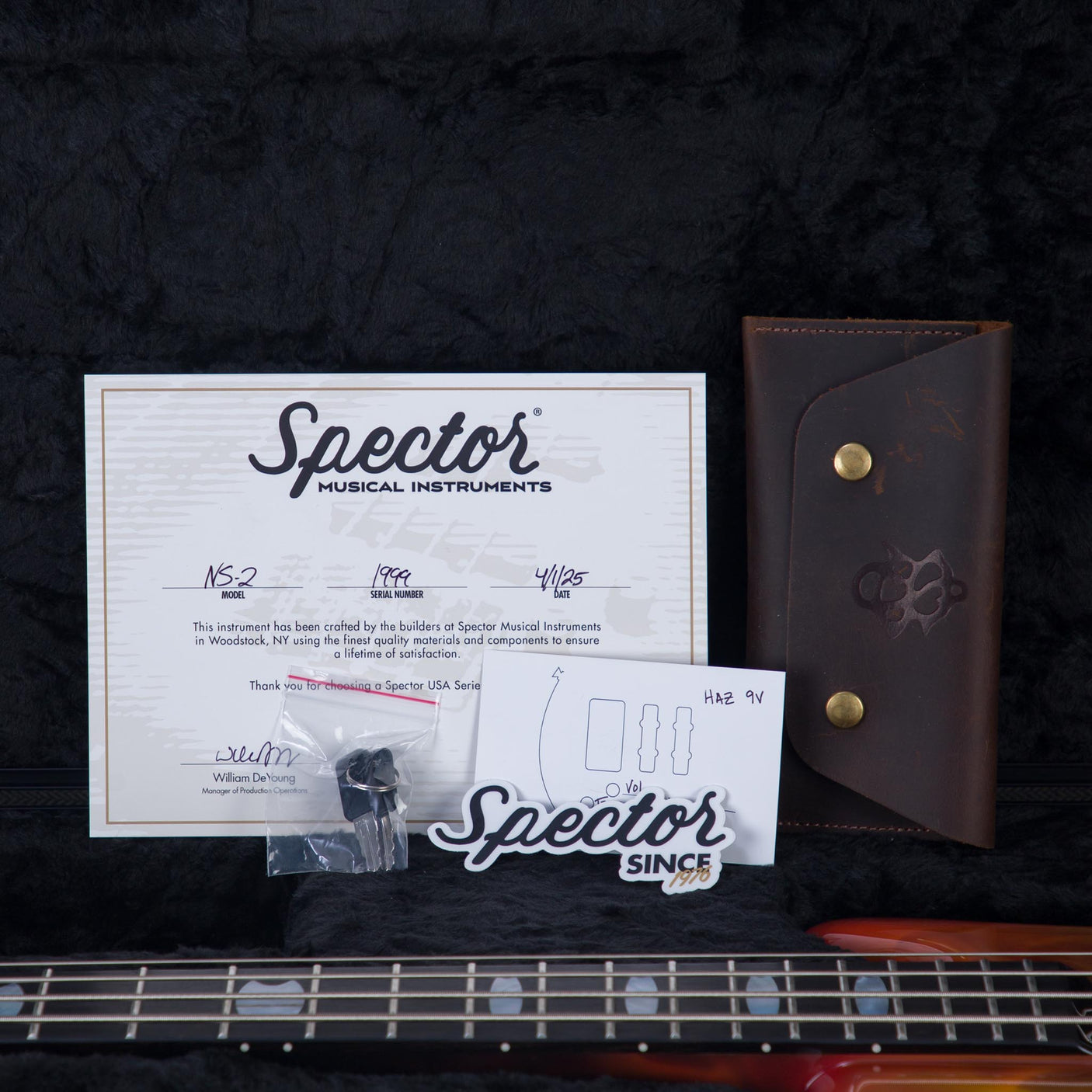 Spector USA Custom NS-2 Hot Rod Series Painted by Dan Lawrence Electric Bass Guitar - "Real Flame" - CHUCKSCLUSIVE - #1999