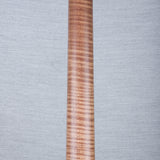 PRS Wood Library Custom 24 Electric Guitar - Private Stock Frostbite Finish - CHUCKSCLUSIVE - #240383982