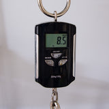 Brubaker USA Steve Jenkins JXB-4 Signature Electric Bass Guitar - Midnight Blue Gloss - #010-23