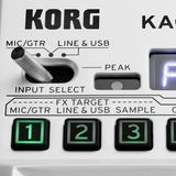 Korg KAOSS Pad V Dynamic Effect Sampler - Mint, Open Box