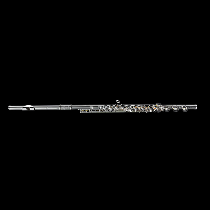 Di Zhao DZ500BOF Intermediate Flute