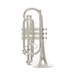 Schagerl K-450S Academica Bb Cornet - Silver Plated