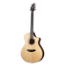 Breedlove Limited Edition Premier Concert CE Acoustic Guitar - European Spruce / Brazilian Rosewood