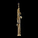 Schagerl S-1DL Superior Changeable Straight/Curved Neck Soprano Saxophone - Lacquered Bronze