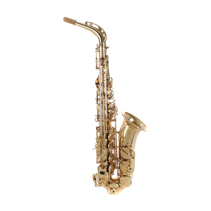 Andreas Eastman EAS850 Professional Alto Saxophone with Case