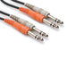 HOSA CSS-203 9.9' Dual 1/4" TRS To TRS Stereo Cable