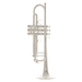 Schagerl Signature Series Mnozil Brass Bb Trumpet - Silver Plated