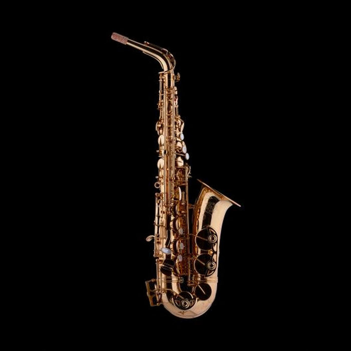 Schagerl A-2L Superior Pro Alto Saxophone - Lacquered Brass
