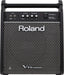 Roland V-Drums PM-100 80 Watt Personal Monitor
