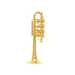 Schagerl Berlin Bb/A Piccolo Trumpet - Gold Plated