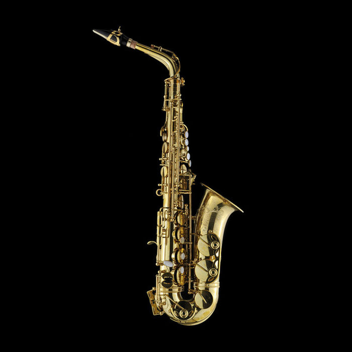Schagerl A-66FU Model 66 Alto Saxophone - Unlacquered Brass