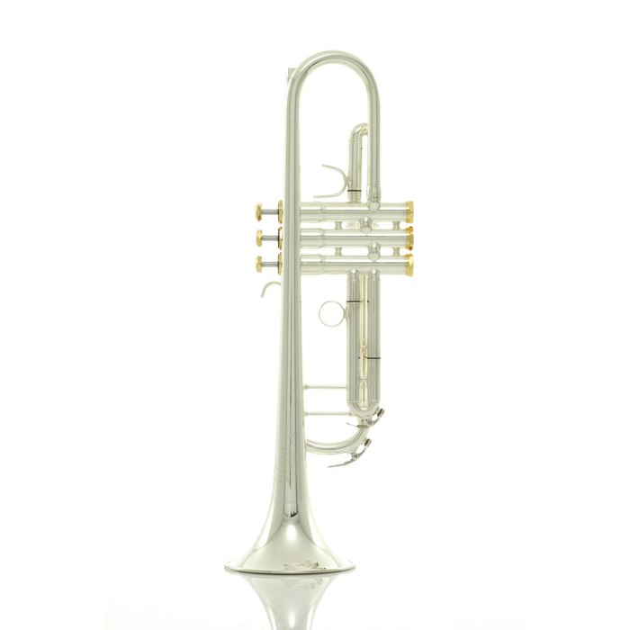Andreas Eastman ETR520GS Intermediate B-Flat Trumpet - Gold Brass Bell