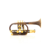 Schagerl Raweni Rotary Trumpet - Vintage Matte Lacquered with Gold Plated Trim