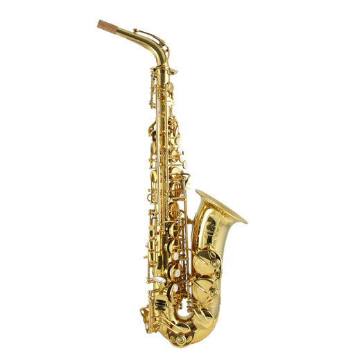 Trevor James Signature Custom Alto Saxophone - Gold Lacquered